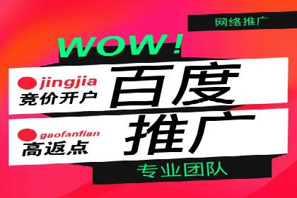 某电商平台的SEM优化托管实践与效果评估